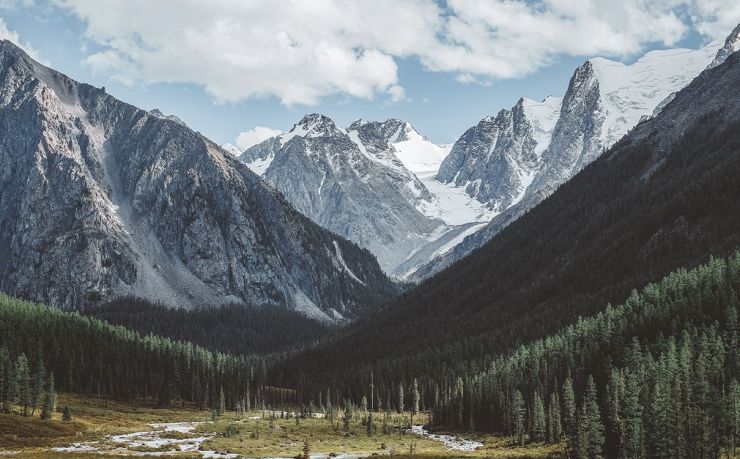 怎样移民泰国中介